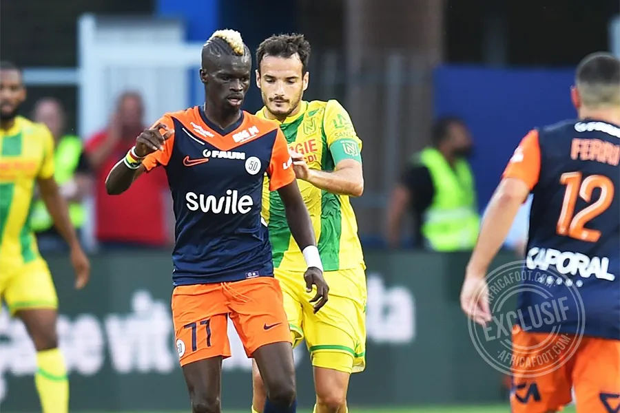 Falaye Sacko