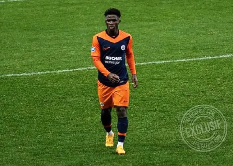 Wilfried Ndollo Bille