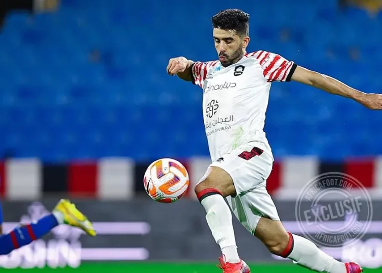 Karim El Berkaoui