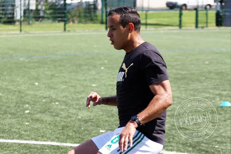 Mehdi Zeffane
