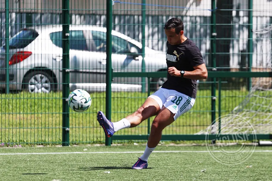 Mehdi Zeffane