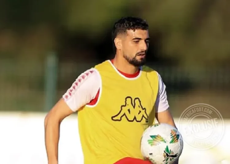 Moez Haj Ali