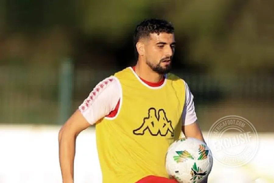 Moez Haj Ali