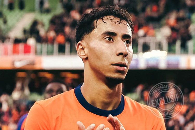 Anass Salah-Eddine