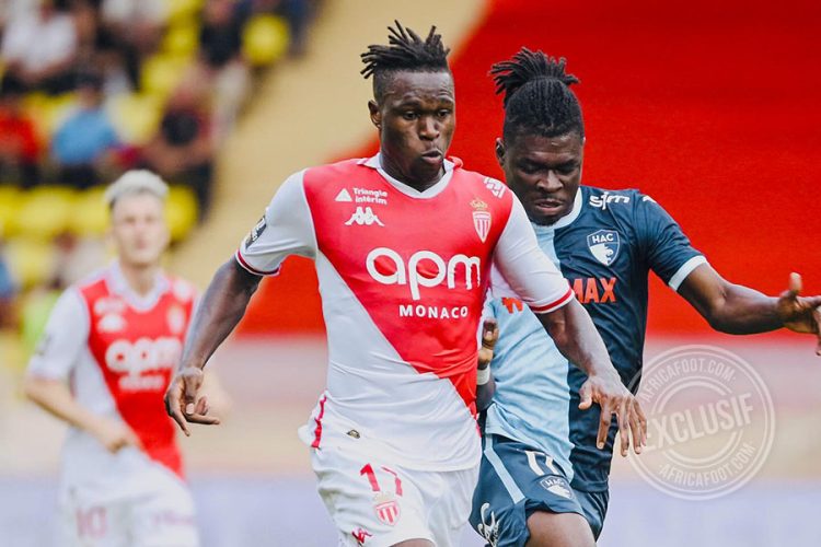 Wilfried Singo