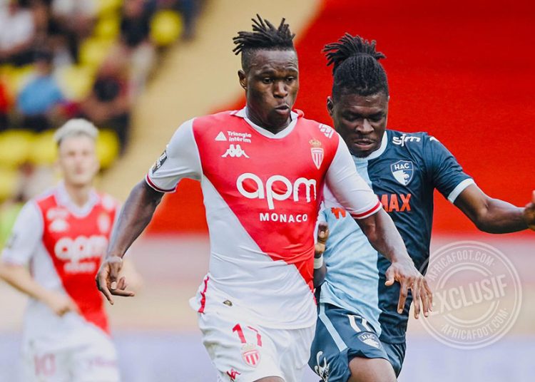 Wilfried Singo