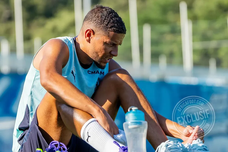 Amine Harit