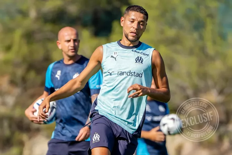 Amine Harit