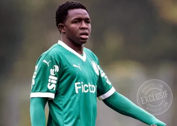 Mahamadou Salim Souaré