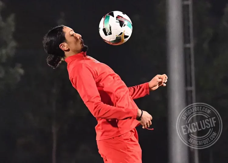 Bilal Nadir