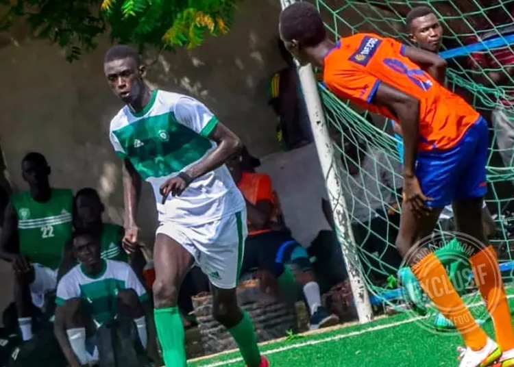 Cheikhou Djibril Niang