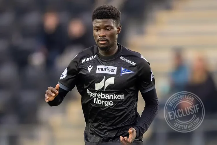 Steve Mvoué