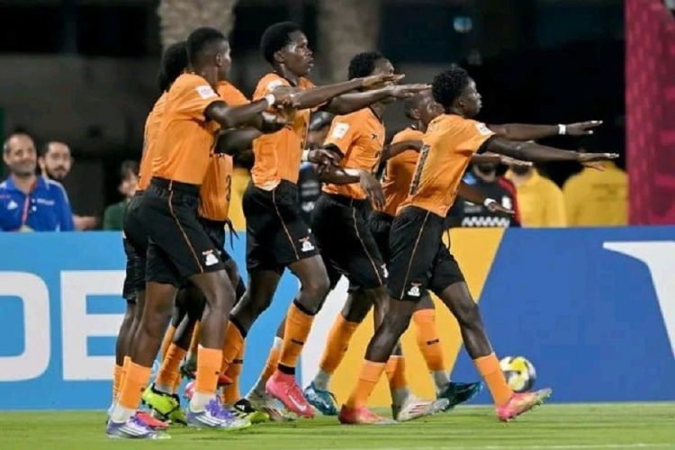 Zambie U17