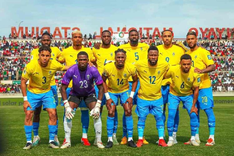 Pantheres-du-Gabon