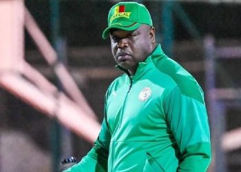 Mamadou Diallo "Seybani"