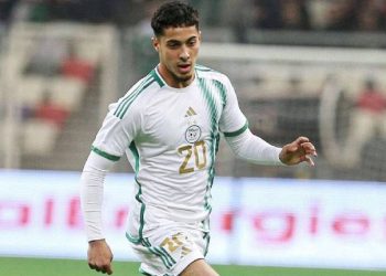 Farès Chaïbi