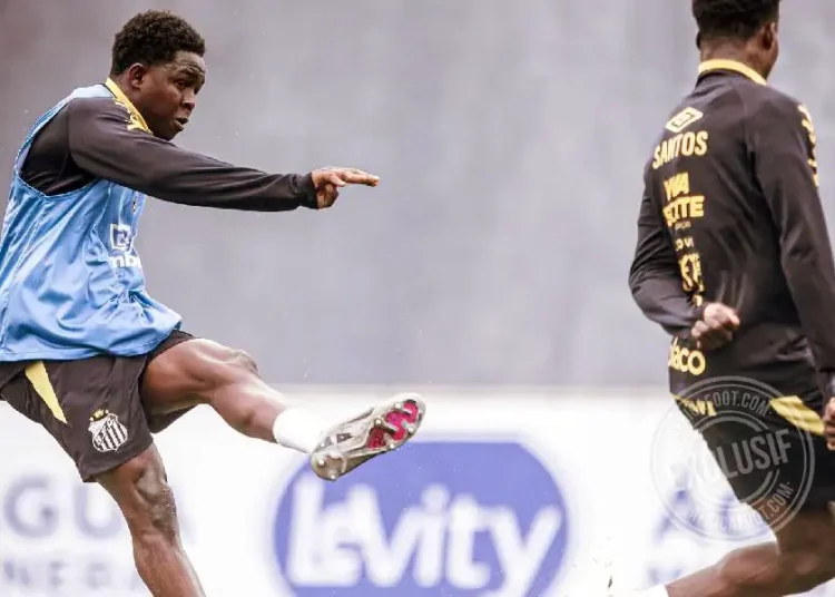 Mahamadou Salim Souaré