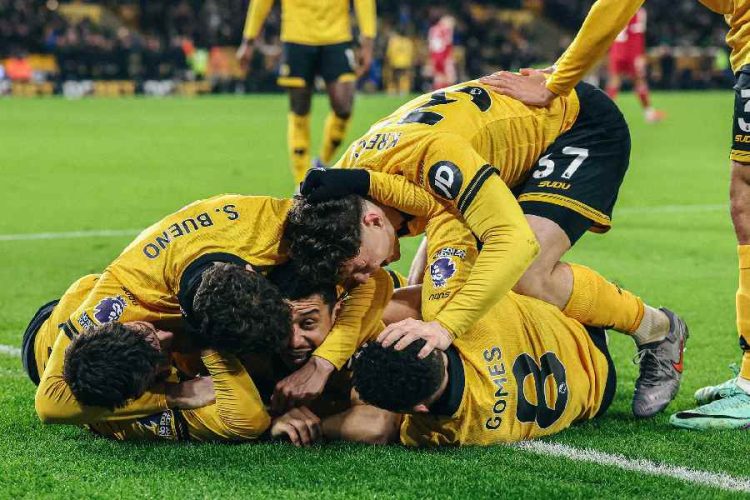 Wolves