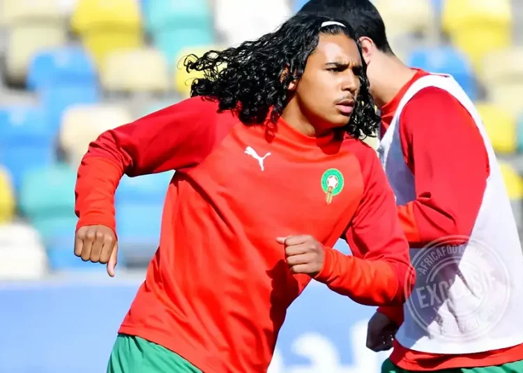 Ilian Hadidi