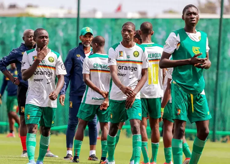 Cameroun U17