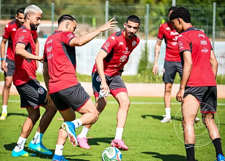 Équipe Nationale Tunisienne﻿