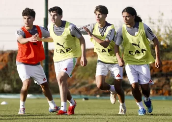 Fédération algérienne de football U17
