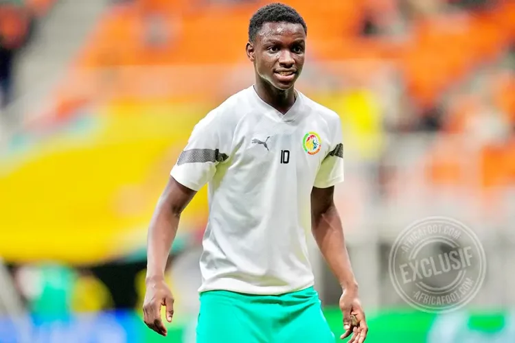 Amara Diouf