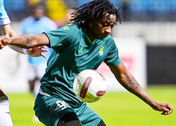 Cristovão Paciência Mabululu Striker