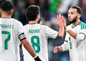 Pronostic Pays-Bas – Algérie : cote de 1,95 d’un match amical international