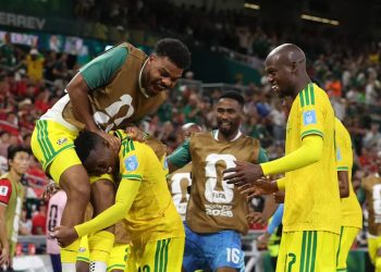 L'équipe d'Afrique du Sud. Site officiel de la FIFA