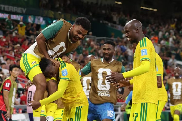 L'équipe d'Afrique du Sud. Site officiel de la FIFA