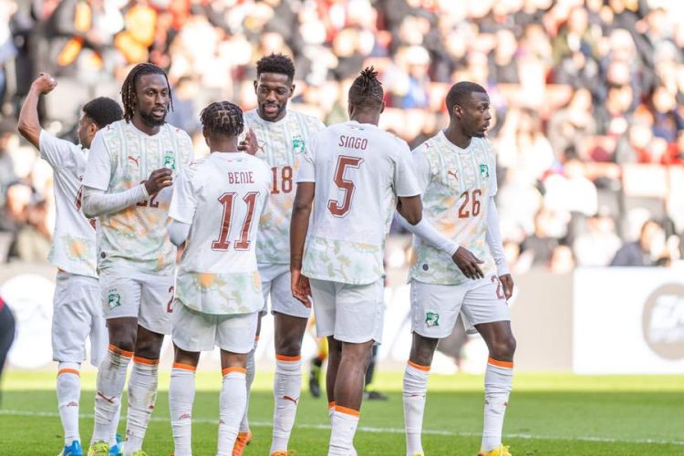 Les Eléphants de la Côte d'Ivoire. Source photo : page officielle de la Fédération Ivoirienne de Football sur Facebook