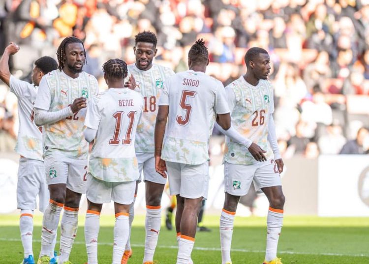Les Eléphants de la Côte d'Ivoire. Source photo : page officielle de la Fédération Ivoirienne de Football sur Facebook