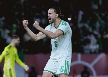 Ramiz Zerrouki