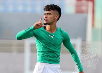 Abdellah Ziani
