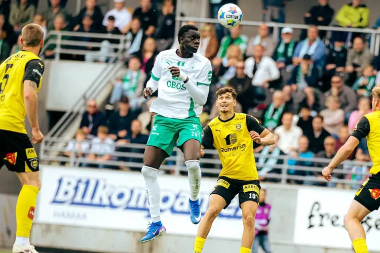 Mame Alassane Niang