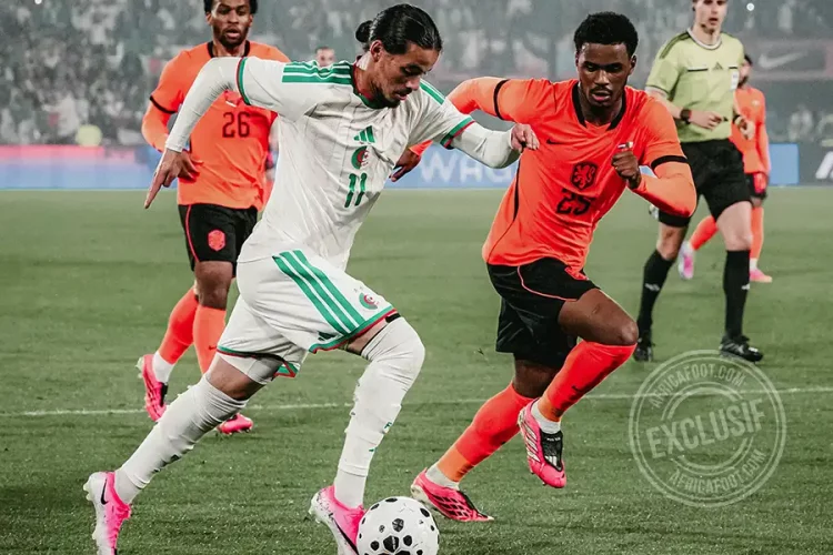 Anis Hadj Moussa