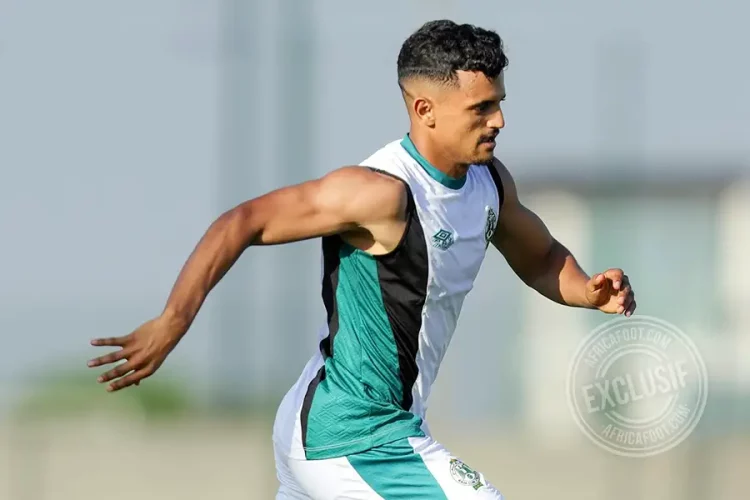 Ayoub Maamouri