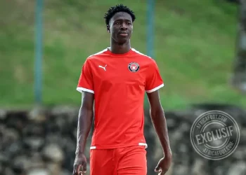 Cheick Abdoulaye Diakité