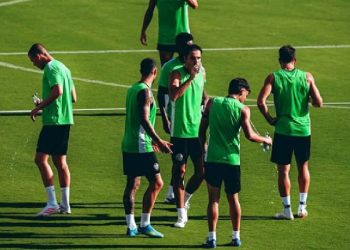 Elche