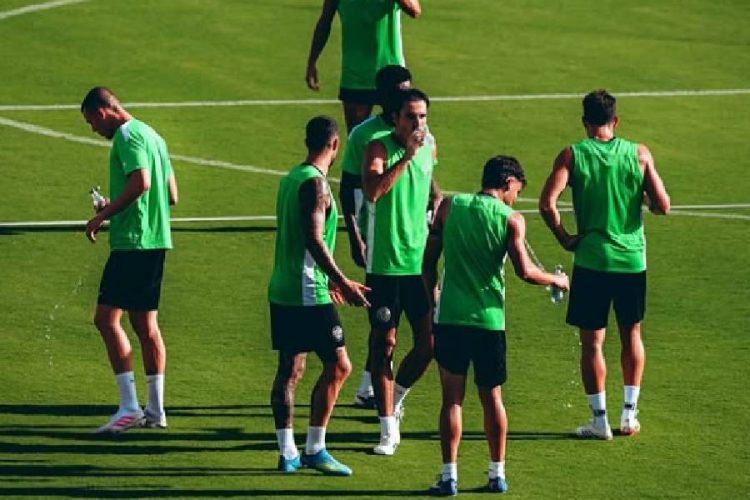 Elche