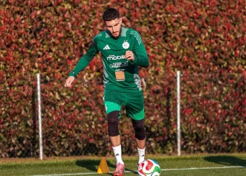 Farès Ghedjemis