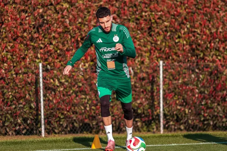 Farès Ghedjemis