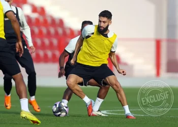 Nabil Alioui