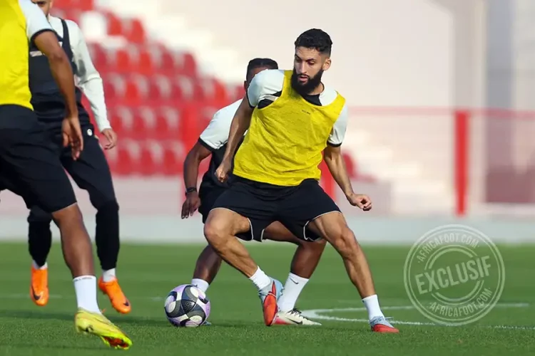 Nabil Alioui