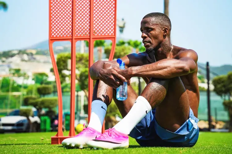 Wilfried Zaha