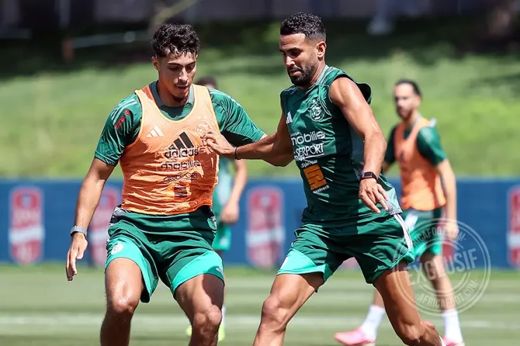 Équipe d'Algérie de football
