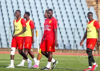 Equipe nationale de Guinée