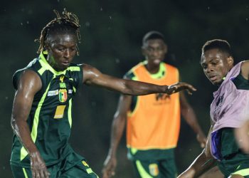 Fédération Malienne de Football