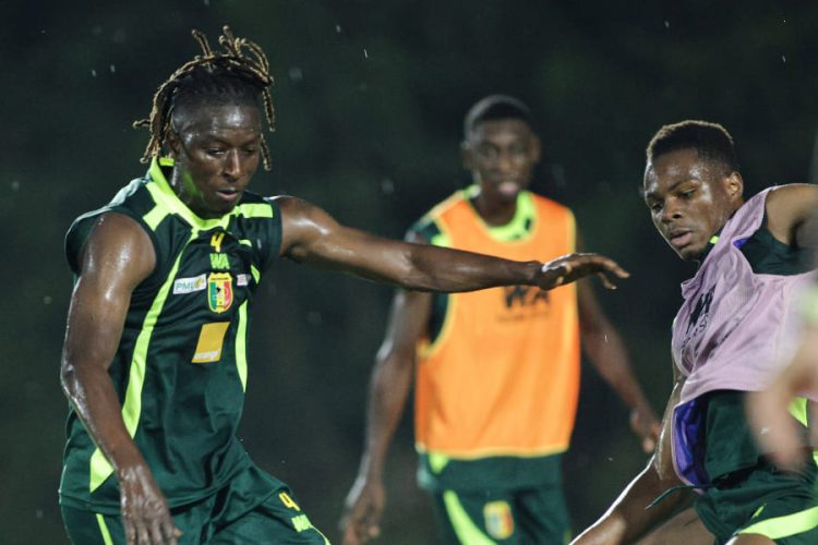 Fédération Malienne de Football